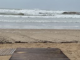 130-26-12-2025 IMG_3299